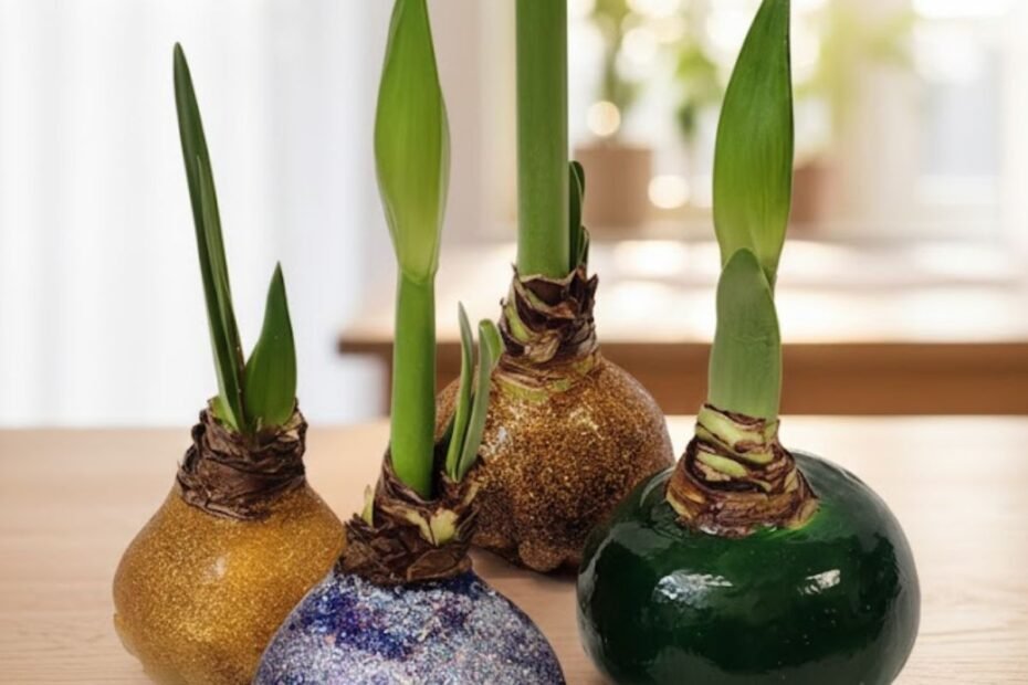 Vaškuotas amarilis: ką daryti gėlei nužydėjus ir kaip suteikti jai antrą gyvenimą?