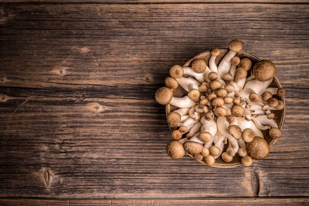 Shimeji grybų laikymas ir saugojimas