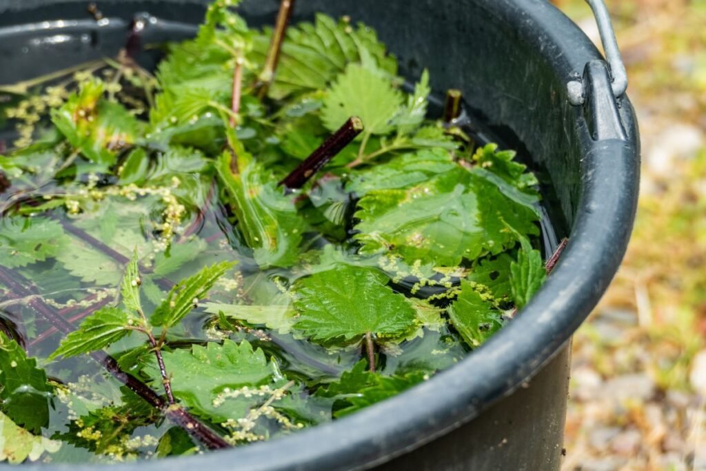 Kodėl verta rinktis namines priemones?