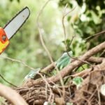 Aukštapjovė: kaip pasirinkti tinkamiausią įrankį medžių ir krūmų priežiūrai?