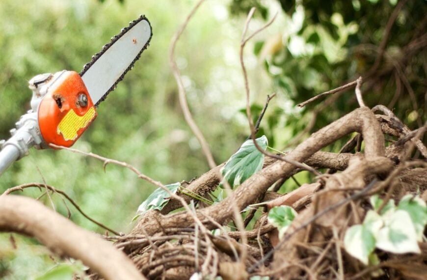 Aukštapjovė: kaip pasirinkti tinkamiausią įrankį medžių ir krūmų priežiūrai?