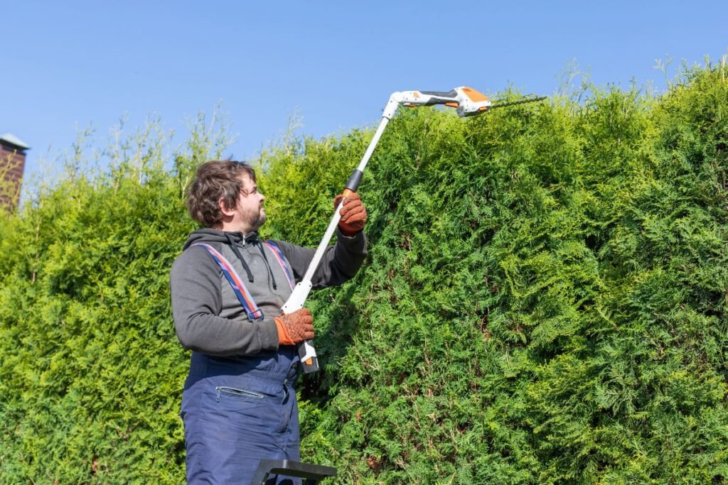 Krūmapjovė ir gyvatvorių žirklės: vertikali kontrolė