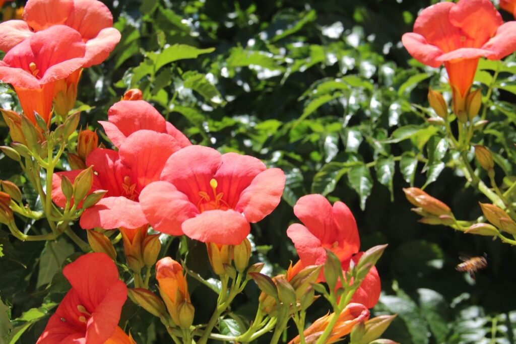 Egzotiniai augalai: vertikalusis grožis