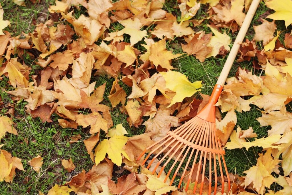 Grėblių tipai pagal paskirtį