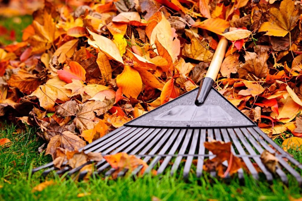 Grėblių medžiagos ir jų savybės