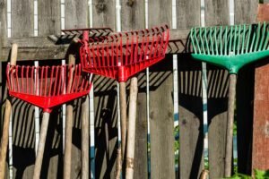 Grėblys – svarbiausias sodo įrankis. Kaip išsirinkti tinkamą grėblį skirtingiems darbams?