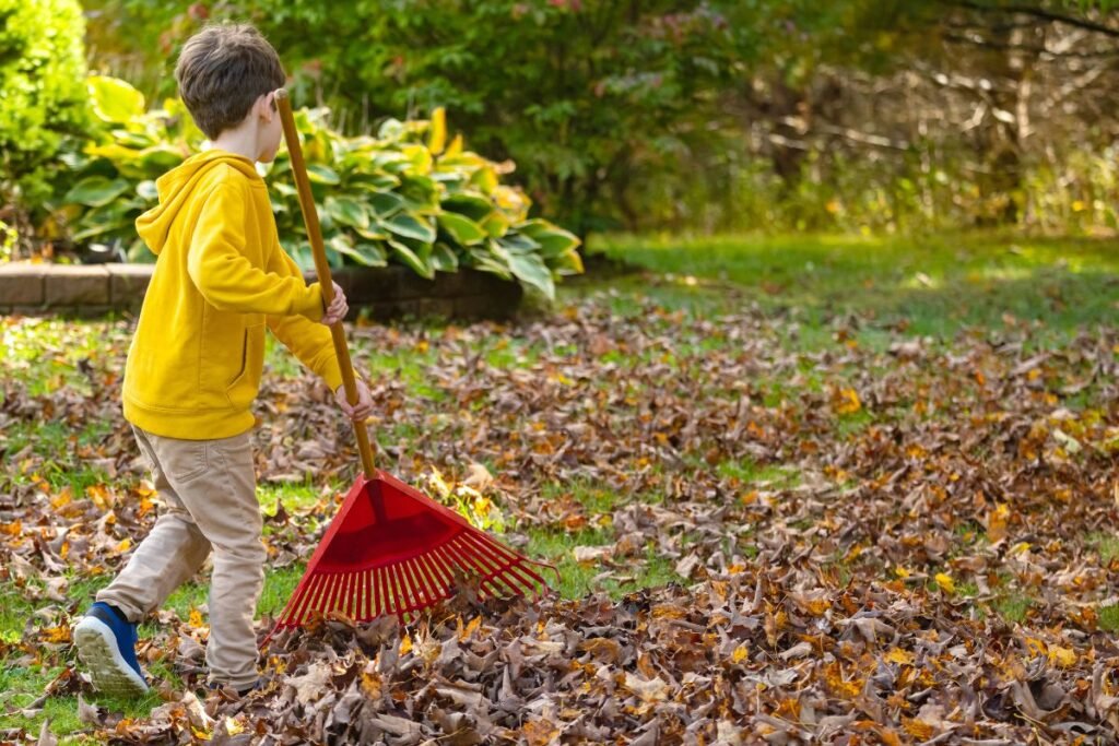 Grėblių tipai pagal paskirtį