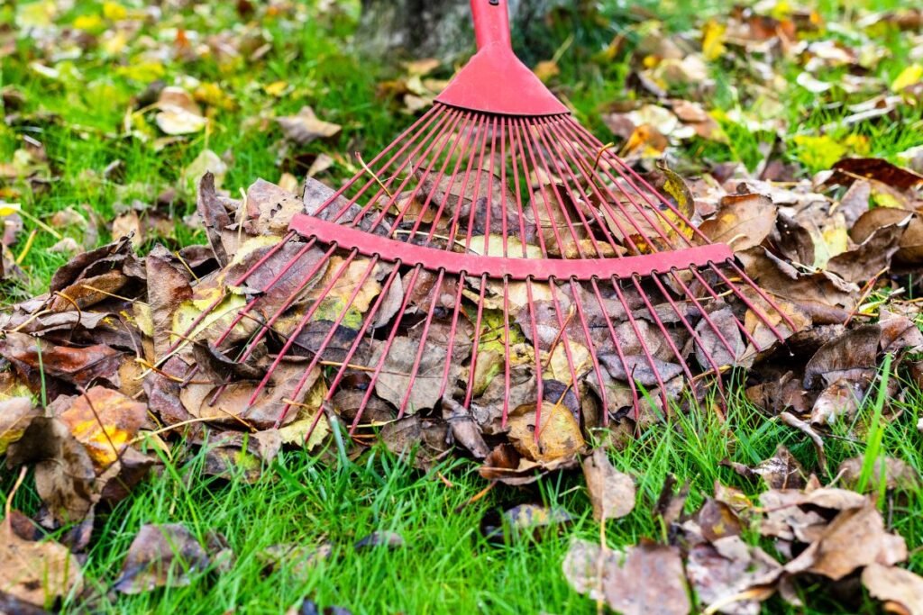 Grėblių tipai pagal paskirtį