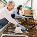 Ką sėti vasario mėnesį