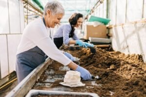 Ką sėti vasario mėnesį