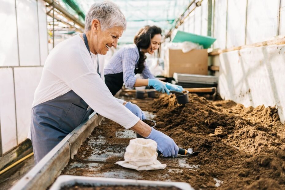 Ką sėti vasario mėnesį