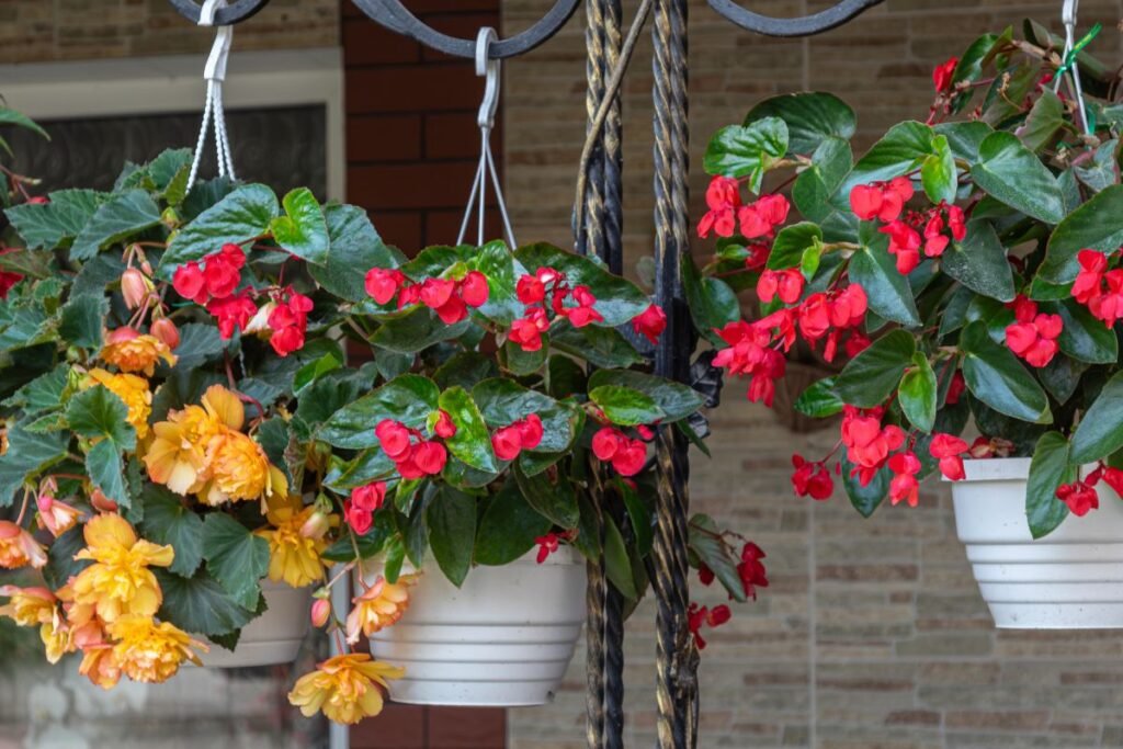 Klaidos, kurių reikėtų vengti