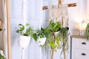 Kabantys vazonai: kaip saugiai ir stilingai „įdarbinti“ kambario lubas?