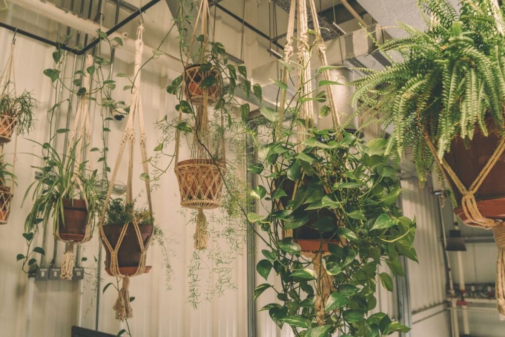 Kodėl verta rinktis kabančius vazonus?