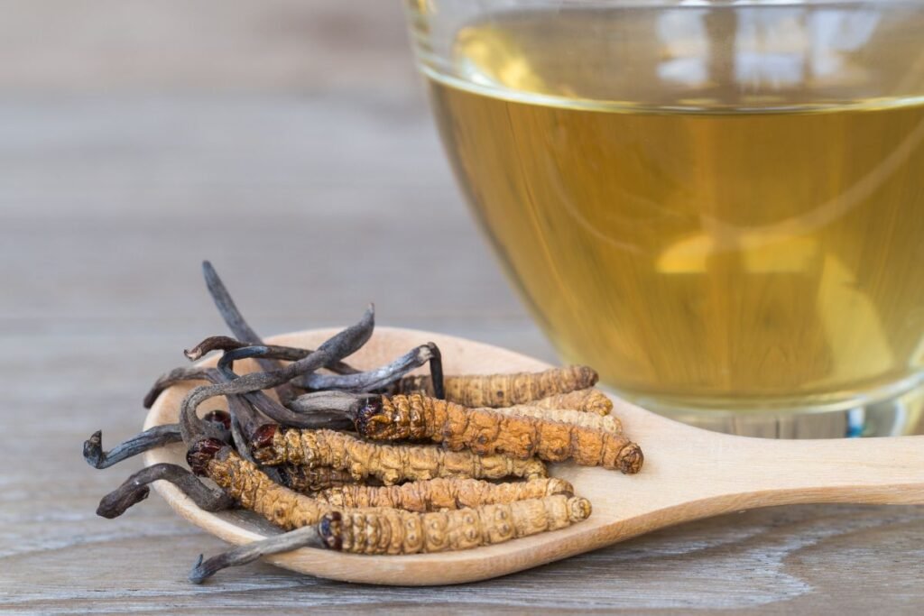 Kaip vartoti kordicepsą?