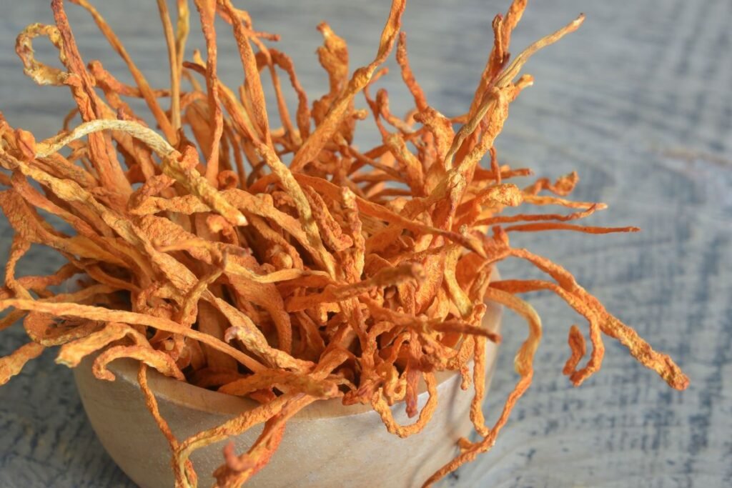 Kordicepsas energijai ir ištvermei