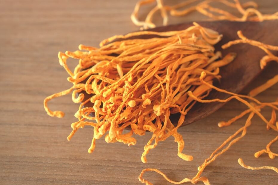 Kordicepsas stebina ne tik savo nauda, bet ir auginimo ypatumais. Sužinokite, ar įmanoma užsiauginti kordicepsą Lietuvoje?