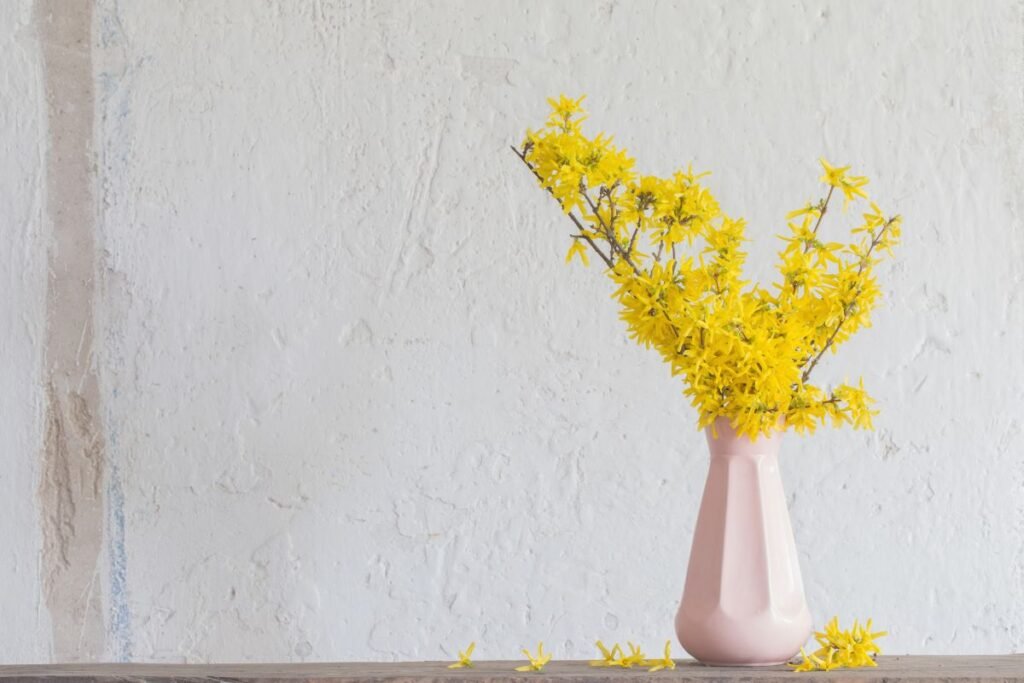 Forsitija – geltonasis pavasario pranašas