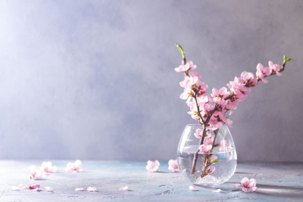 Vyšnios ir slyvos – švelnumo simbolis