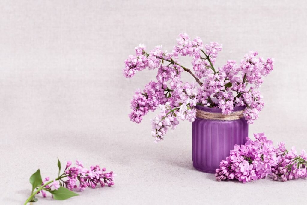 Šakelių pražydinimas: kaip tinkamai nukirpti ir paruošti šakas?