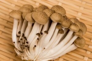 Shimeji grybų paruošimas: sužinokite, kaip tinkamai paruošti ir pagaminti buko grybus?