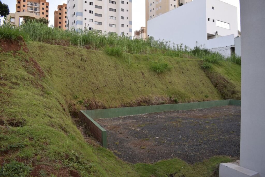 Šlaitų apželdinimas ir iššūkiai