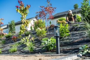 Šlaitų apželdinimas