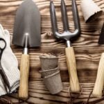 Sodo darbai kovo mėnesį: strateginis vadovas tarp sniego ir pavasario vilties