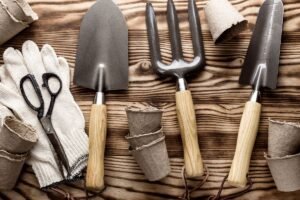 Sodo darbai kovo mėnesį: strateginis vadovas tarp sniego ir pavasario vilties