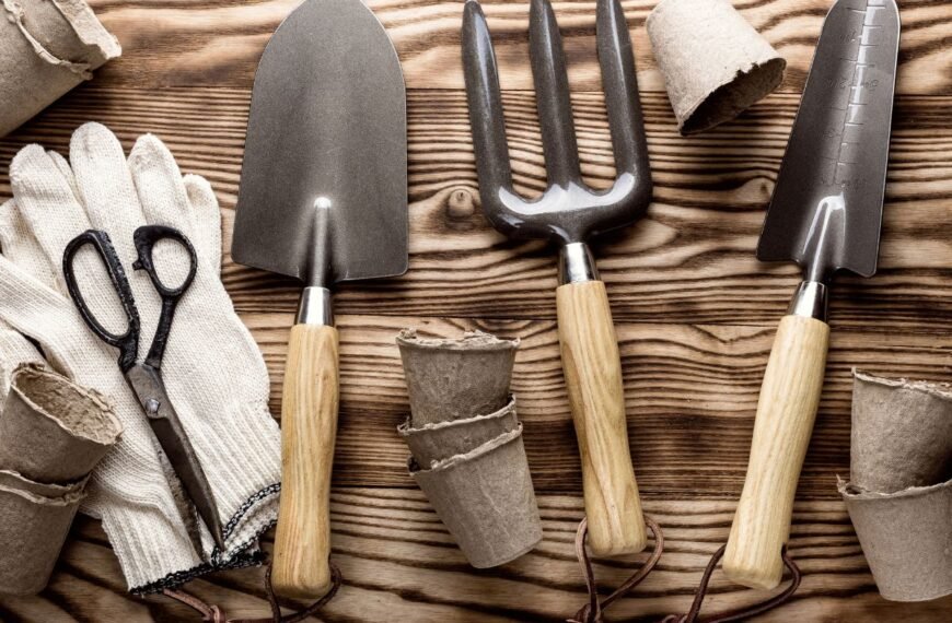 Sodo darbai kovo mėnesį: strateginis vadovas tarp sniego ir pavasario vilties