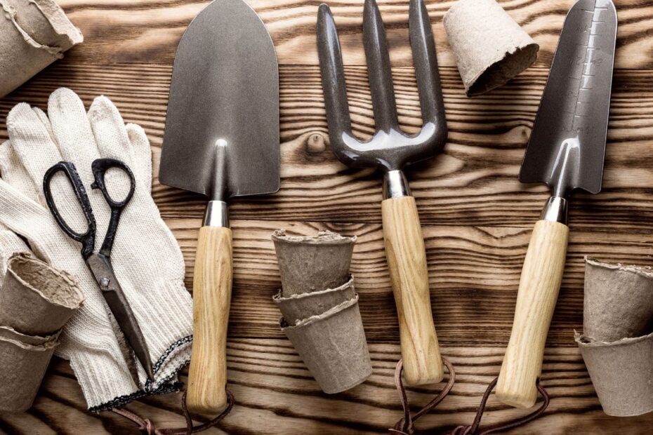 Sodo darbai kovo mėnesį: strateginis vadovas tarp sniego ir pavasario vilties