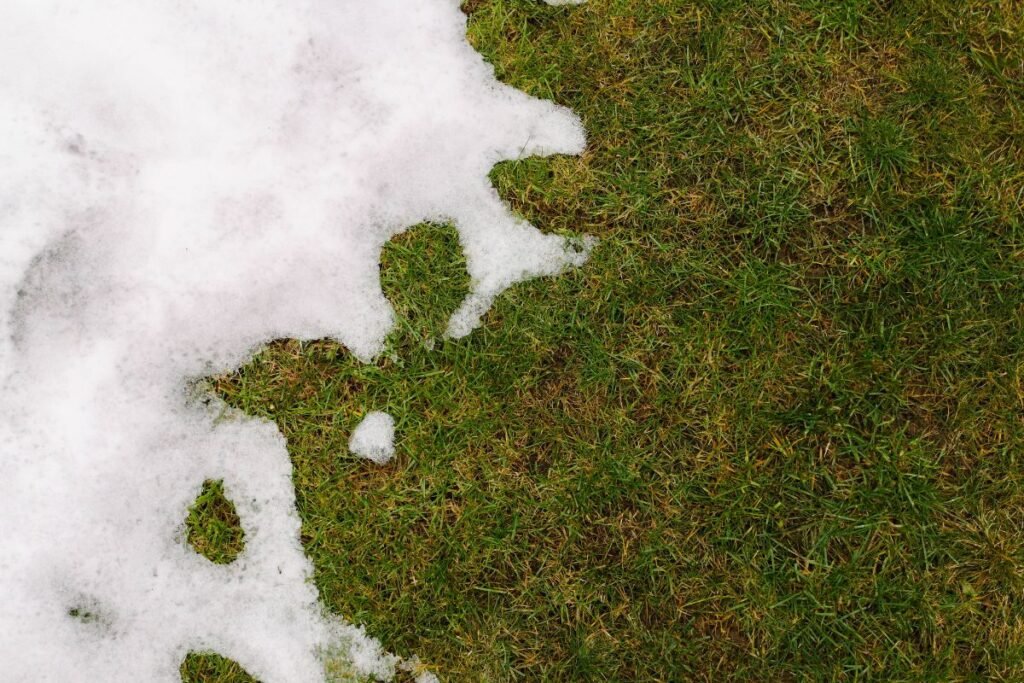 Sodo darbai kovo mėnesį: sniego iššūkiai ir vejos gelbėjimas