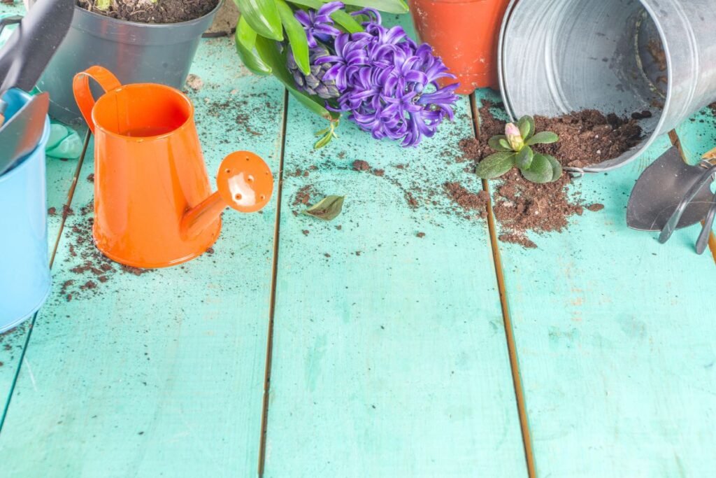 Sodo darbai kovo mėnesį: kontrolinis sąrašas