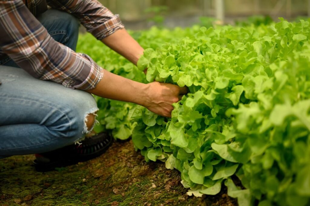 Žiemos išpardavimas: kaip nepasimauti ant „akcijų“ kabliuko?