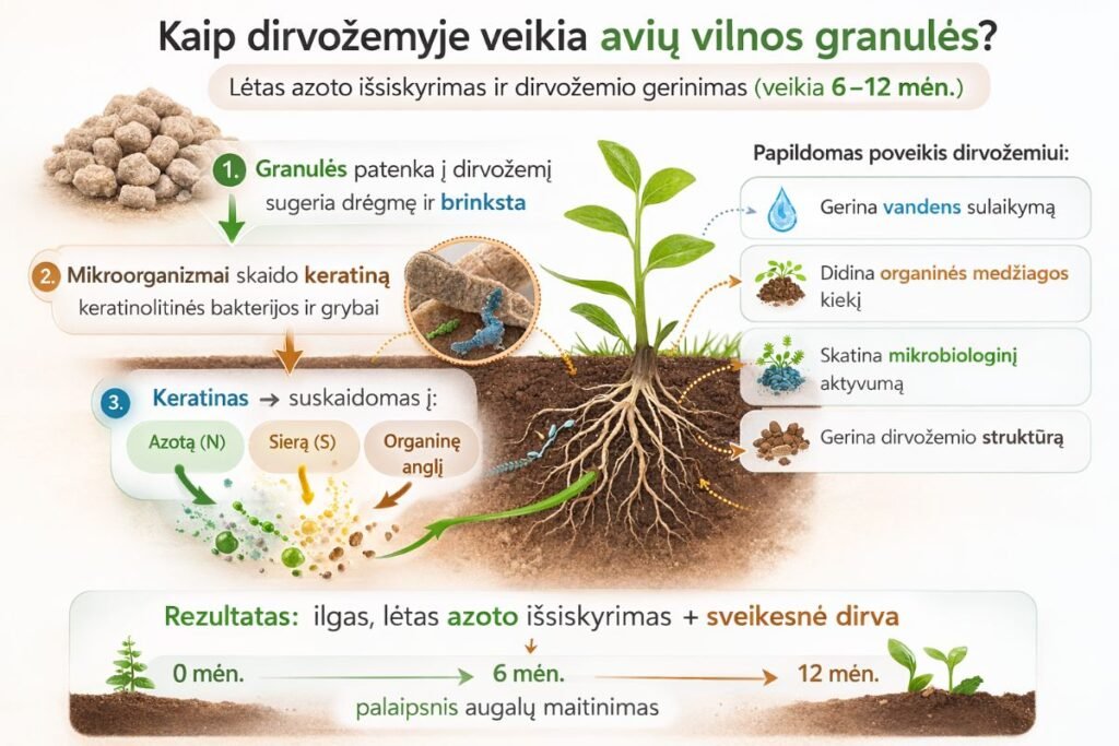 Avių vilnos trąšos
