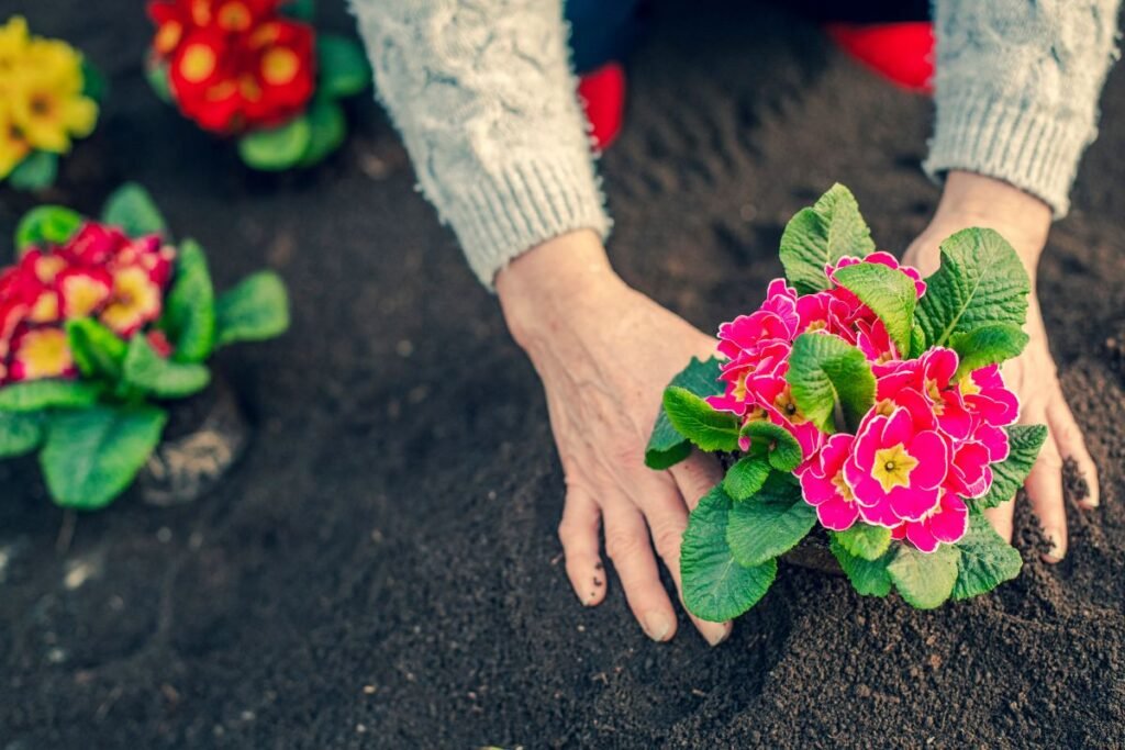 Sodas kaip terapijos vieta