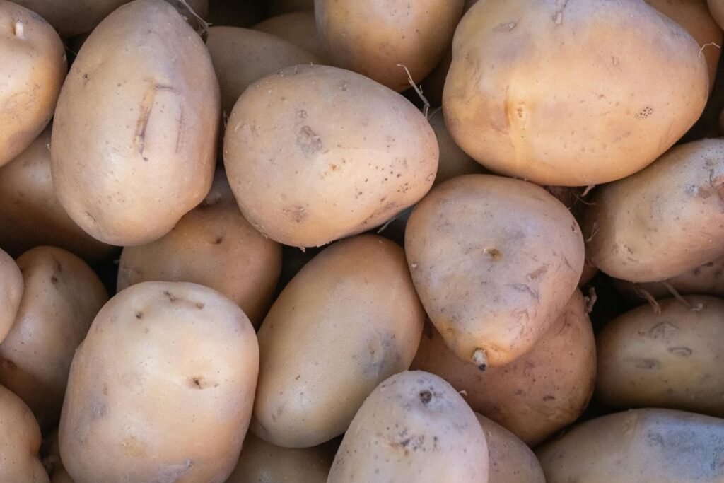 Agrotechnika: kaip pasiekti, kad jūsų bulvės būtų ankstyviausios?