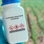 Ar trąšos turi galiojimo terminą: ką būtina žinoti kiekvienam daržininkui?