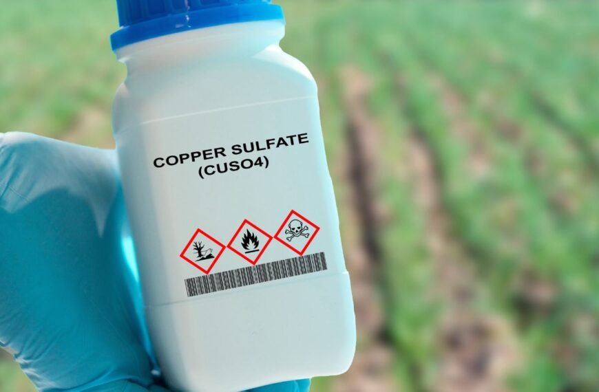 Ar trąšos turi galiojimo terminą: ką būtina žinoti kiekvienam daržininkui?