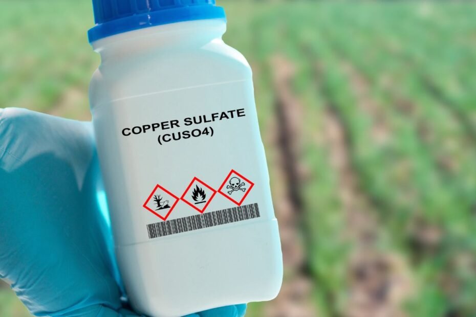 Ar trąšos turi galiojimo terminą: ką būtina žinoti kiekvienam daržininkui?