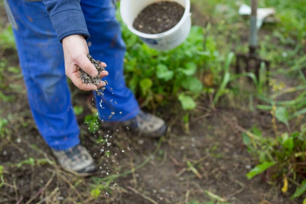 Ar trąšos turi galiojimo terminą: organika ir biologinis aktyvumas