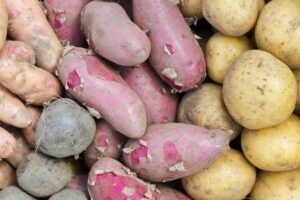 Bulvių rūšys: išsamus gidas po veislių pasaulį, jų klasifikaciją ir kulinarines paslaptis