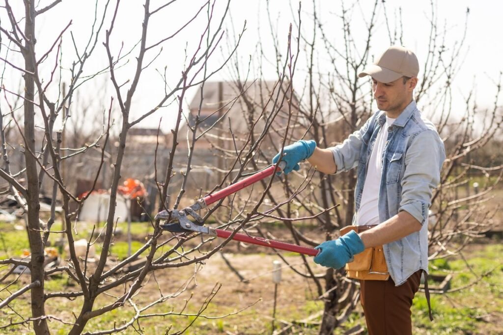 Papildoma priežiūra po genėjimo