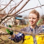 Genėjimas pavasarį: išsamus gidas siekiant sodo sveikatos ir gausaus derliaus