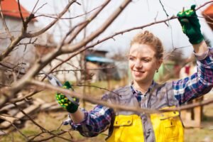 Genėjimas pavasarį: išsamus gidas siekiant sodo sveikatos ir gausaus derliaus