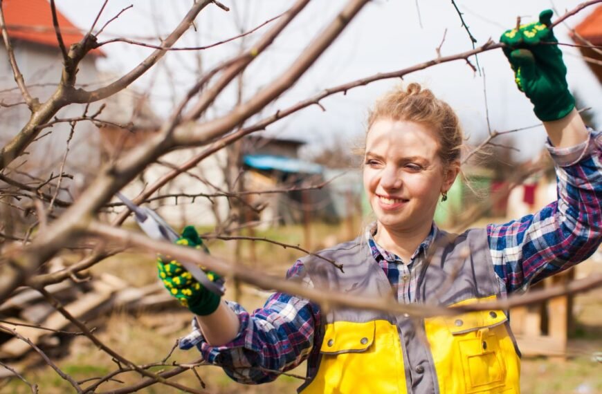 Genėjimas pavasarį: išsamus gidas siekiant sodo sveikatos ir gausaus derliaus