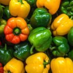 Geriausios paprikų veislės: kaip sukurti spalvingą derlių savo darže?