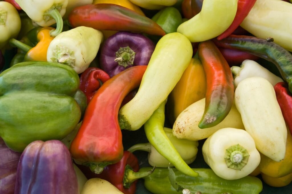 Geriausios paprikų veislės mėgstantiems aštriau