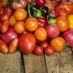 Geriausios pomidorų veislės šiltnamiams: nuo miniatiūrinių iki kilograminių
