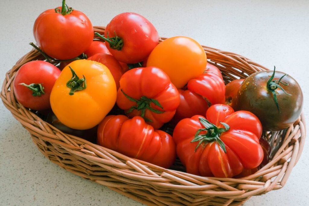 Geriausios pomidorų veislės šiltnamiams – ir stalui, ir konservams